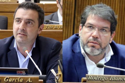 Discutirán sobre conservación de datos de tráfico en internet para combate de la pornografía infantil