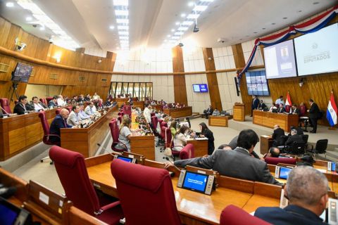 Sesión reservada para indagar sobre caso Pecci no prosperó