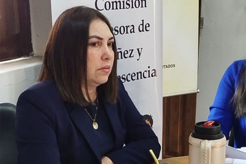 Comisión asesora de Diputados organiza una audiencia pública para debatir sobre criadazgo