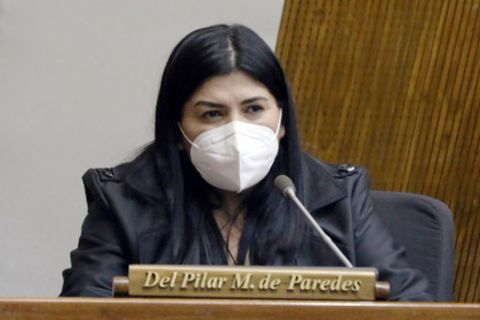 Dip. Del Pilar Medina 01 850.jpg