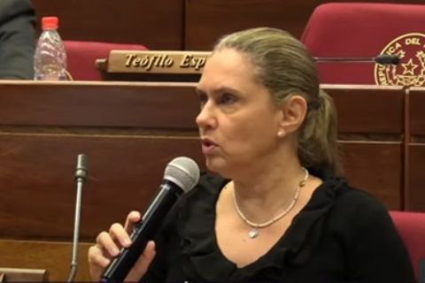 Proyecto de expropiación de inmuebles en Villarrica vuelve a comisiones