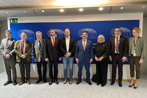 Presidente de Diputados se reunió con “Patriotas por Europa” y destacó el modelo paraguayo de desarrollo sostenible