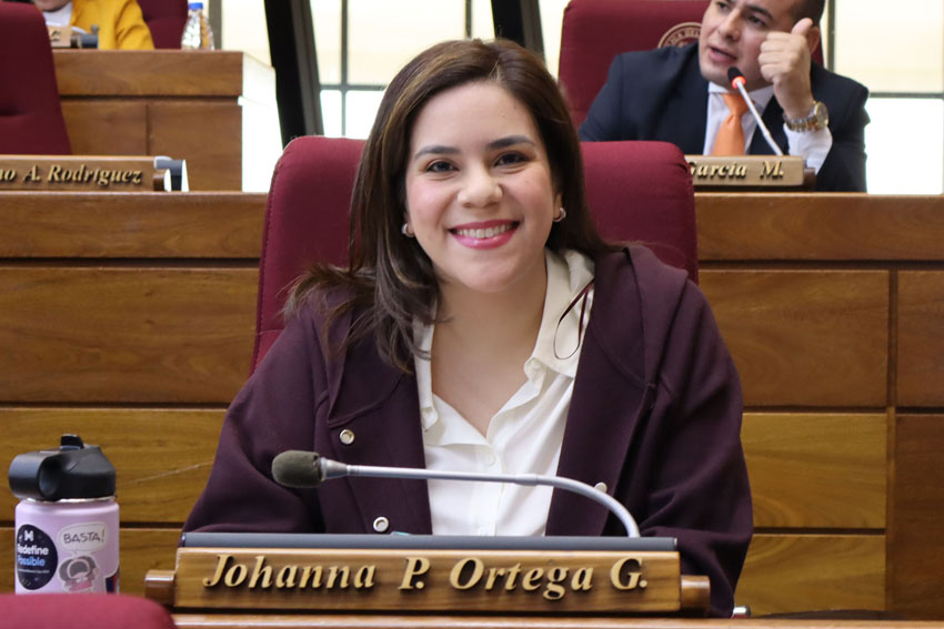 Presidente de Diputados ratifica compromiso con la educación durante jornada gubernamental en Cordillera