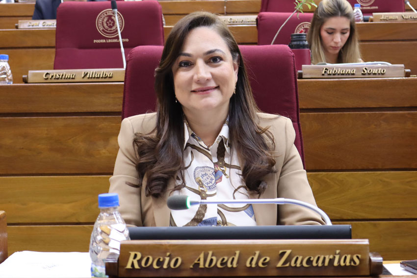 Presidente de Diputados ratifica compromiso con la educación durante jornada gubernamental en Cordillera
