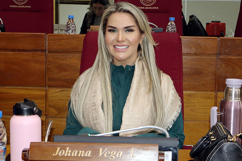 Presidente de Diputados ratifica compromiso con la educación durante jornada gubernamental en Cordillera