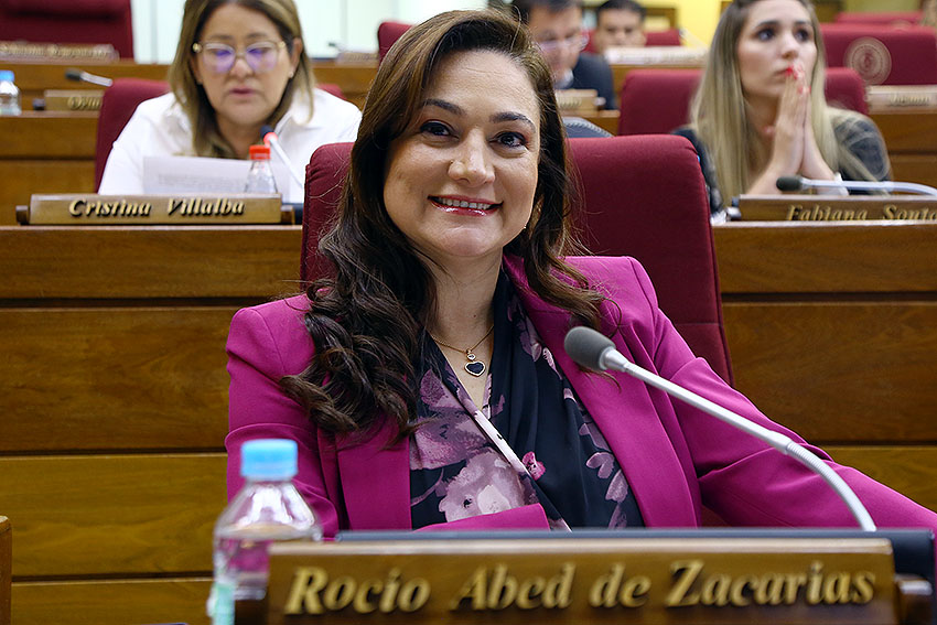 Presidente de Diputados ratifica compromiso con la educación durante jornada gubernamental en Cordillera