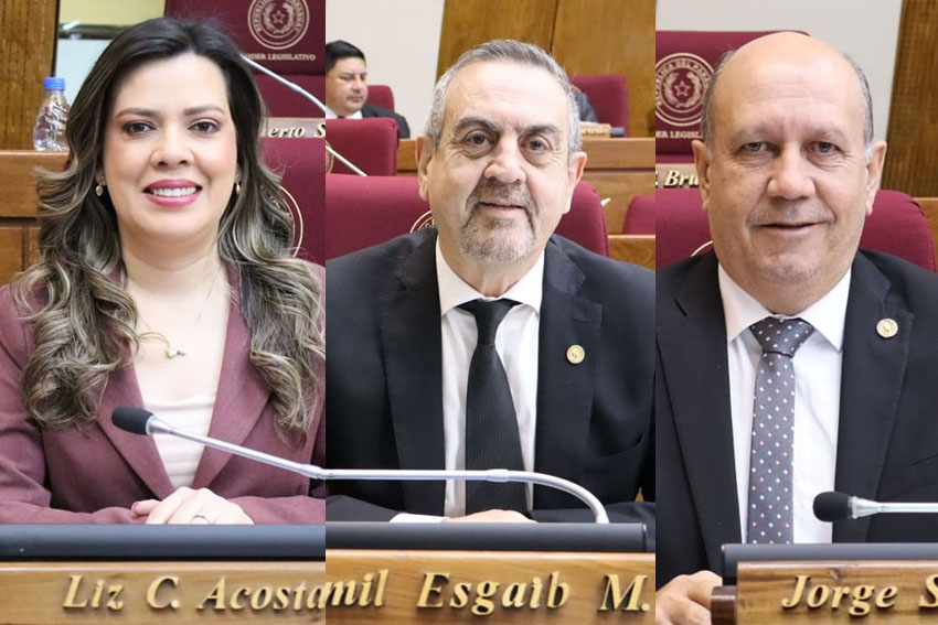 Presidente de Diputados ratifica compromiso con la educación durante jornada gubernamental en Cordillera