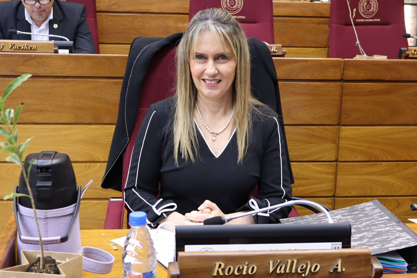 Presidente de Diputados ratifica compromiso con la educación durante jornada gubernamental en Cordillera