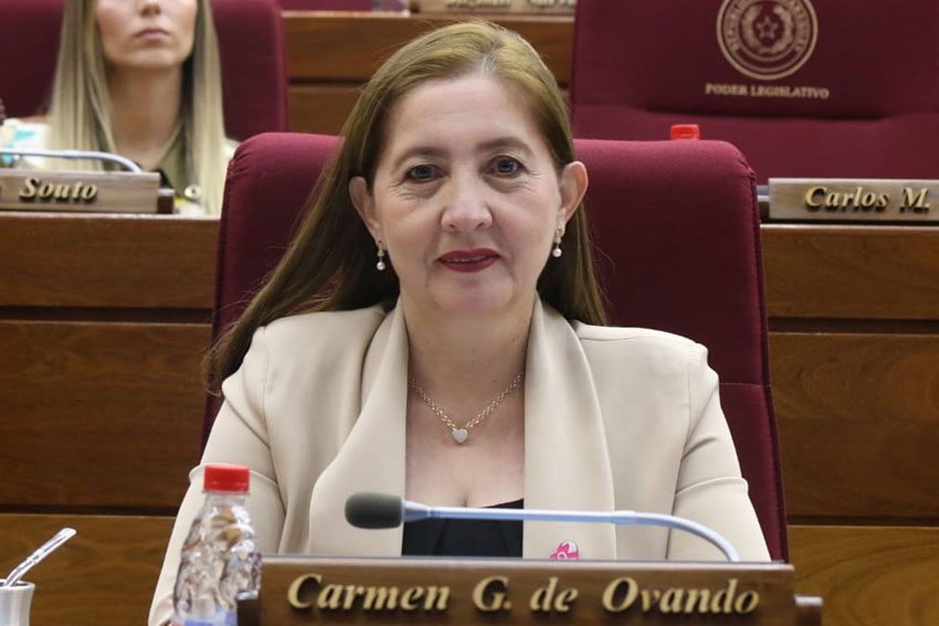 Presidente de Diputados ratifica compromiso con la educación durante jornada gubernamental en Cordillera