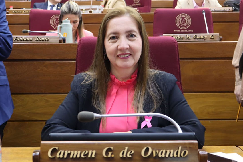 Presidente de Diputados ratifica compromiso con la educación durante jornada gubernamental en Cordillera