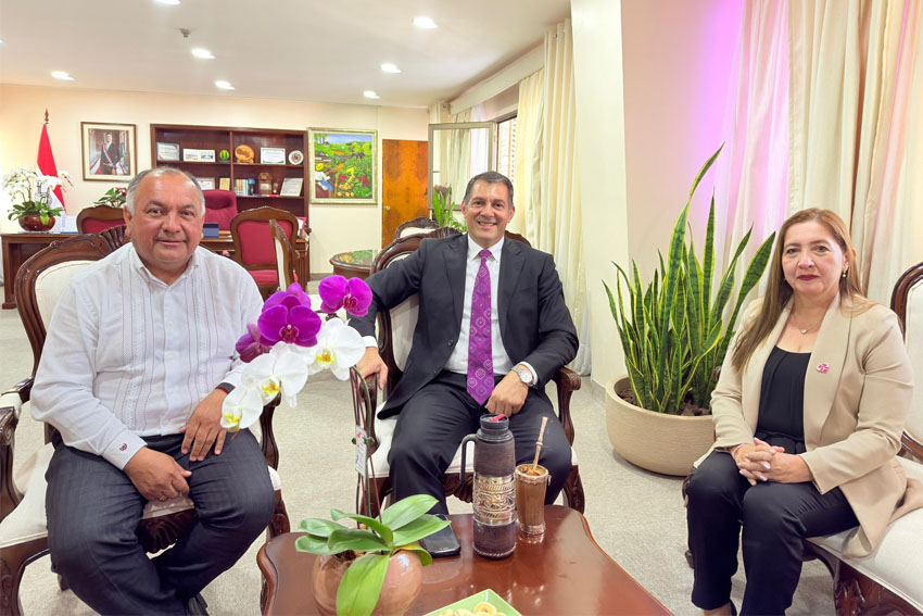 Presidente de Diputados ratifica compromiso con la educación durante jornada gubernamental en Cordillera