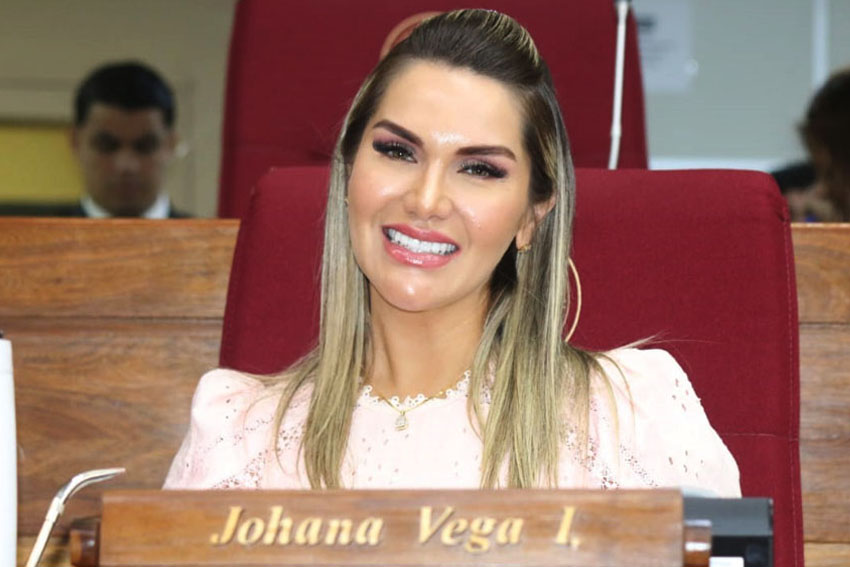 Presidente de Diputados ratifica compromiso con la educación durante jornada gubernamental en Cordillera