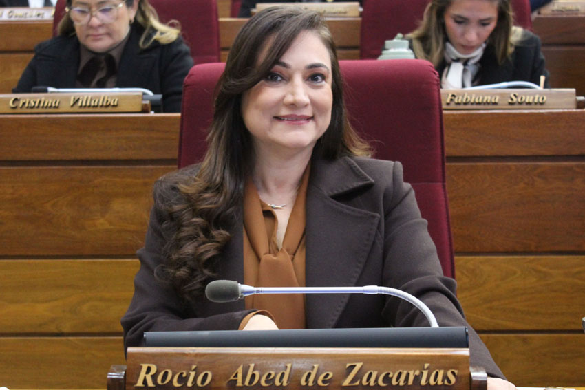 Presidente de Diputados ratifica compromiso con la educación durante jornada gubernamental en Cordillera