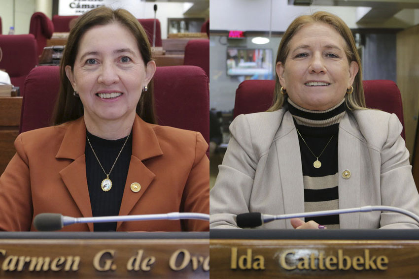 Presidente de Diputados ratifica compromiso con la educación durante jornada gubernamental en Cordillera